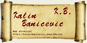 Kalin Banićević vizit kartica